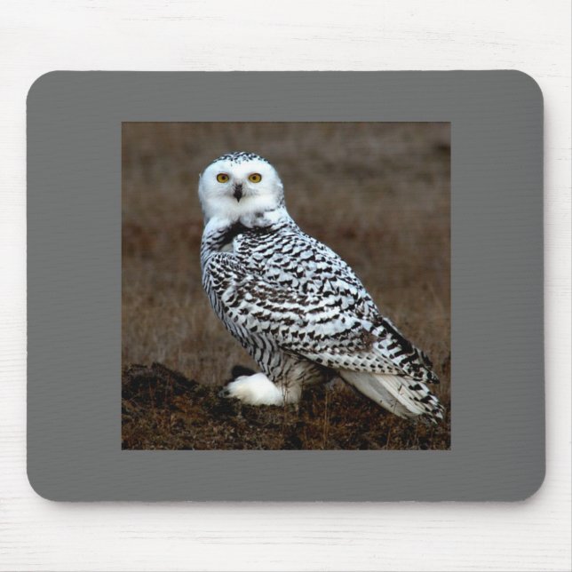 Owl Mouse Pad (Front)