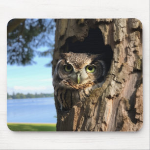 Owl Mouse Pad