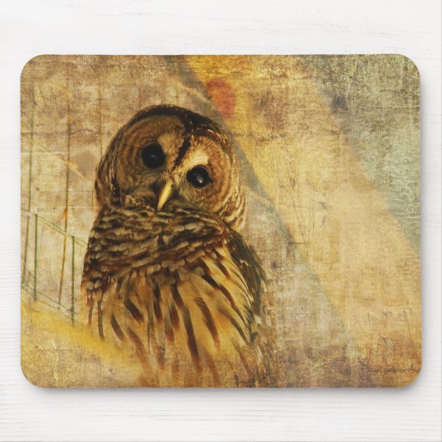 Owl Mousepad - Barred Owl (Front)