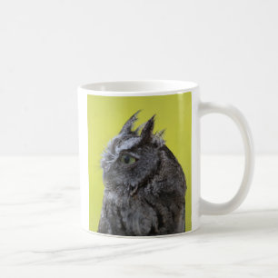 Owl mug