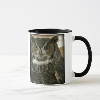 Owl Mug Two-Image Template