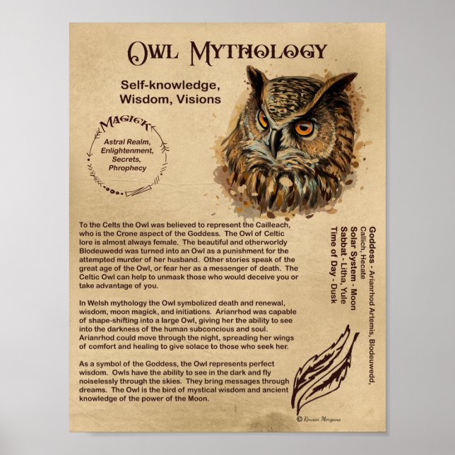 OWL MYTHOLOGY POSTER (Front)