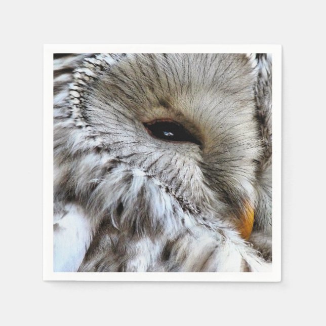 OWL NAPKIN (Front)