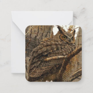 Owl Note Card