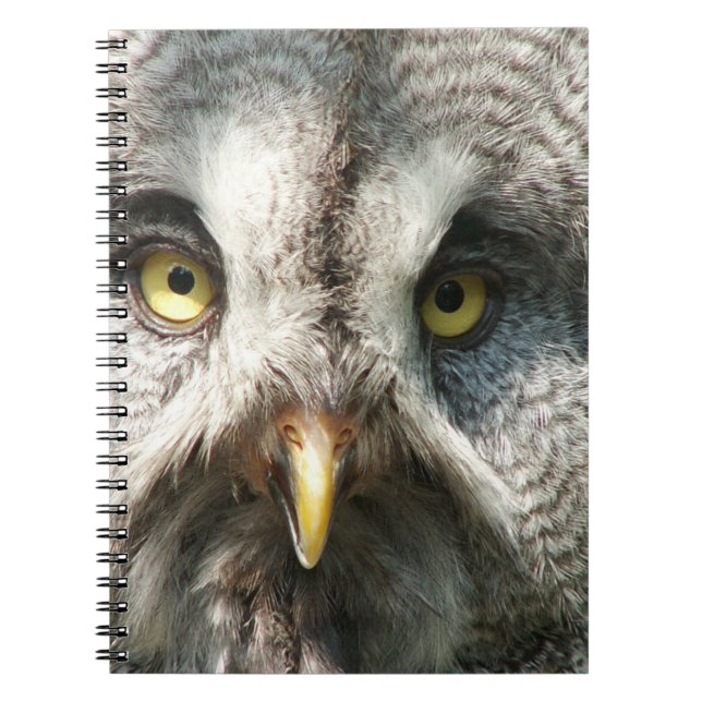 Owl Notebok Notebook (Front)