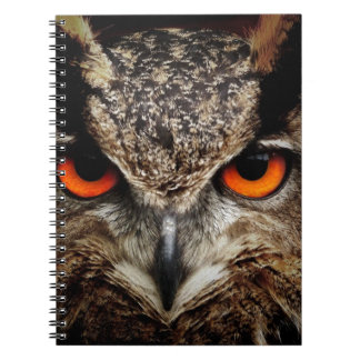 Owl Notebook