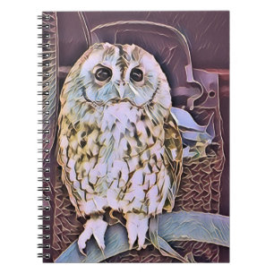 OWL NOTEBOOK