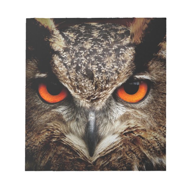 Owl Notepad (Front)