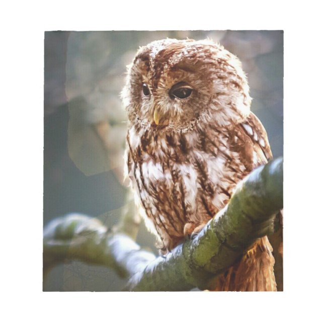 Owl Notepad (Front)