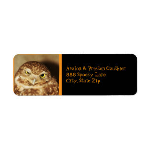 Owl of a Good Time Halloween Address Label Return Address Label