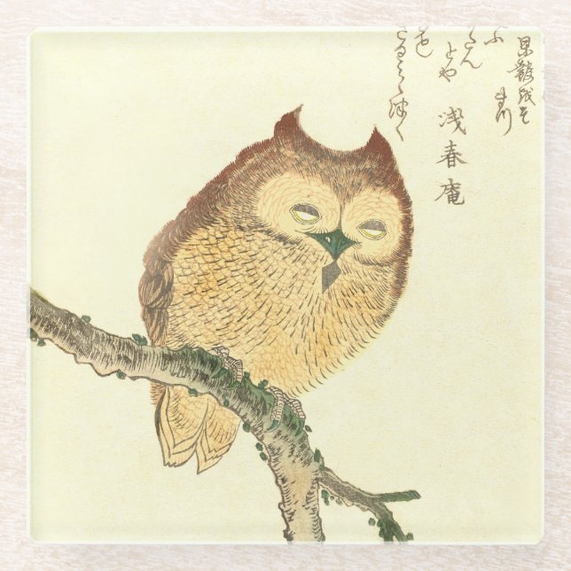 Owl on a branch Japanese Fine Art Glass Coaster (Front)