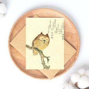 Owl on a branch - Japanese Fine Art Postcard