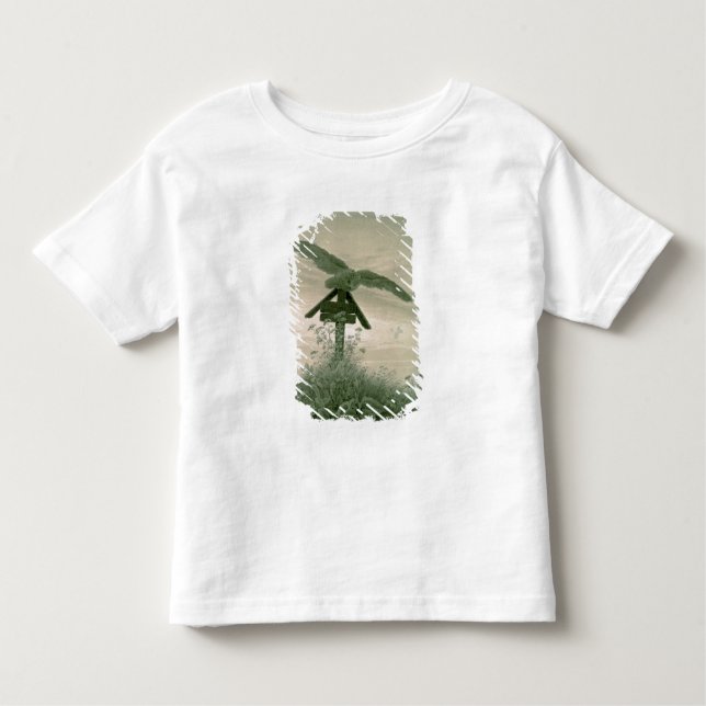 Owl on a Grave, 1836-7 Toddler T-Shirt (Front)