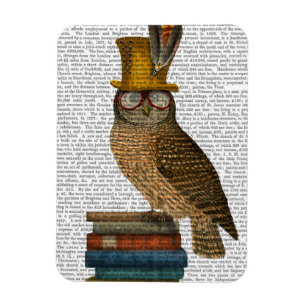 Owl On Books Magnet
