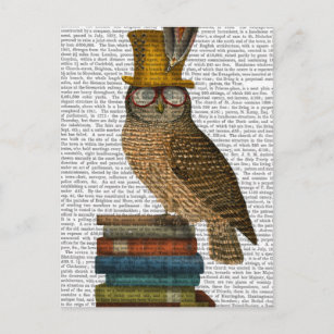 Owl On Books Postcard