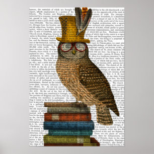 Owl On Books Poster