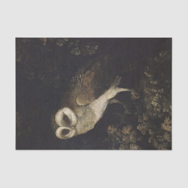 Owl on Dark Background  Tissue Paper (Front)