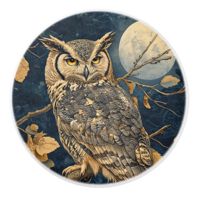 Owl on Perch with Full Moon Ceramic Knob (Front)