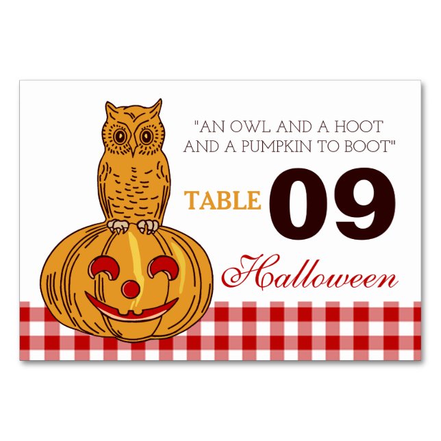 Owl on Pumpkin Gingham Pattern Table Number (Front)