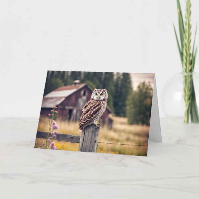 Owl On Wooden Fence Post Card (Front)