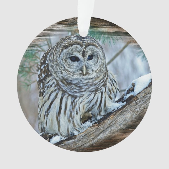 Owl Ornament (Front)