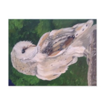 Owl painting on postcard