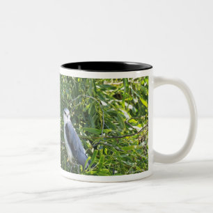 Owl perching on a tree Two-Tone coffee mug