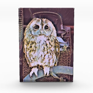 OWL PHOTO BLOCK