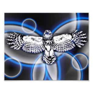 Owl Photo Print