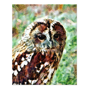 OWL PHOTO PRINT
