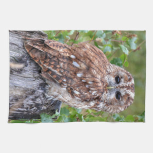 owl photograph tea towel