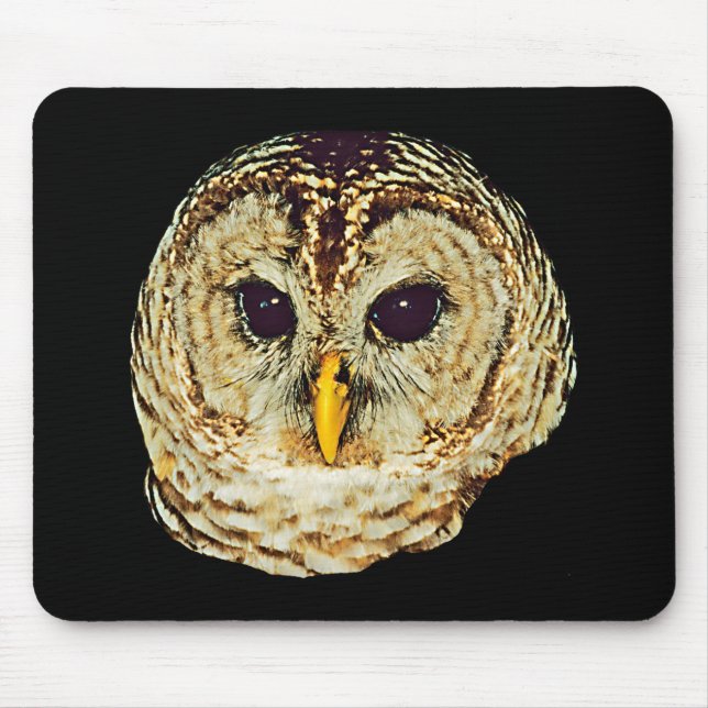 Owl Picture Mousepad (Front)
