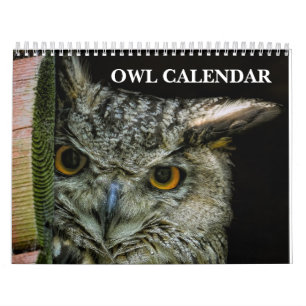 Owl Pictures and Images 2026 Calendar