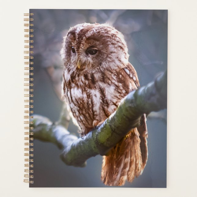 Owl Planner (Front)