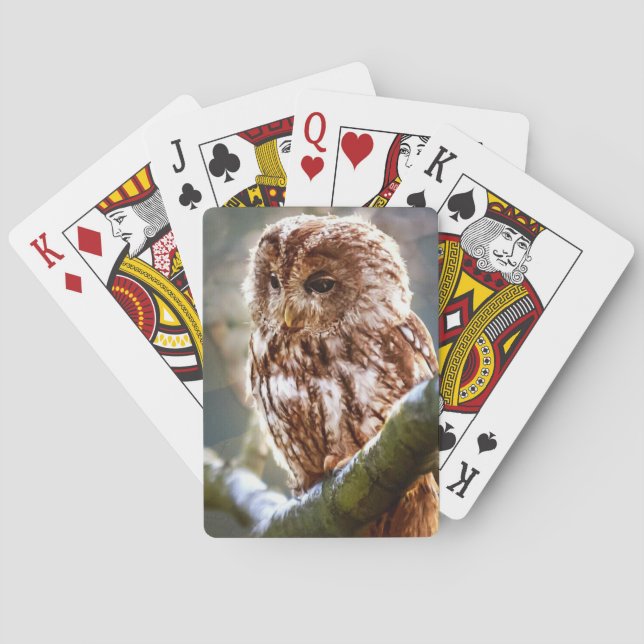 Owl Playing Cards (Back)