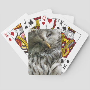 OWL PLAYING CARDS