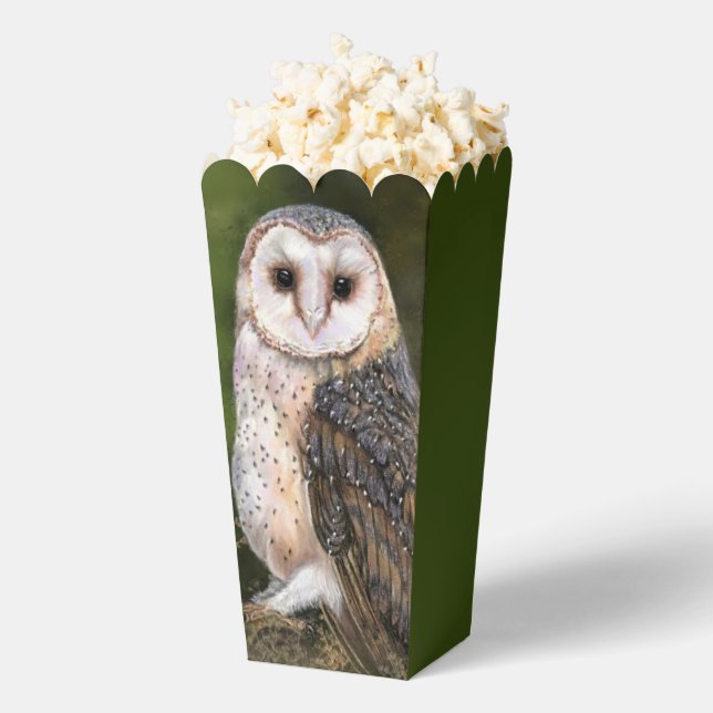 Owl Popcorn Boxes (Popped)