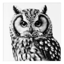 OWL Portrait 10x10" Acrylic Art Print Black Ink