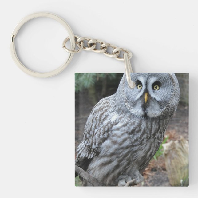 Owl Portrait Photograph Key Ring (Front)