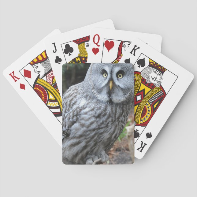Owl Portrait Photograph Playing Cards (Back)