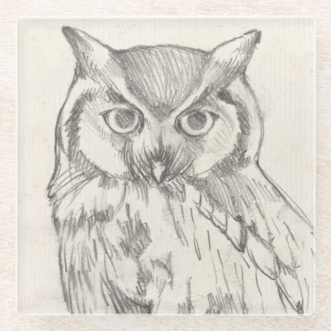 Owl Portrait - Sketch Glass Coaster (Front)