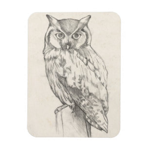 Owl Portrait - Sketch Magnet