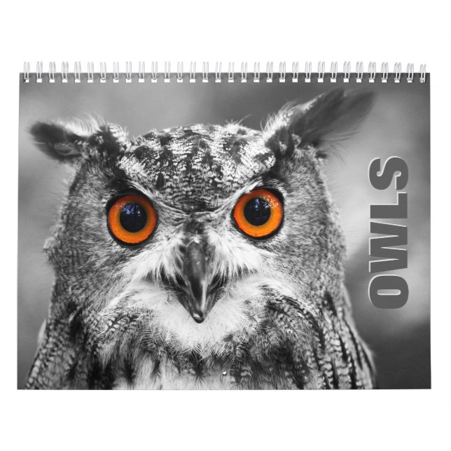Owl Portraits Wall Calendar (Cover)