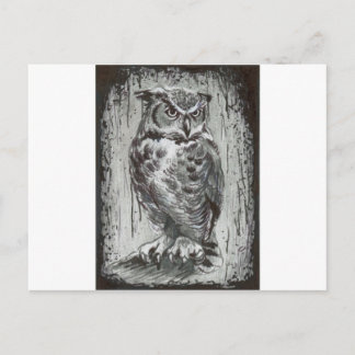 Owl Postcard