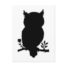 owl