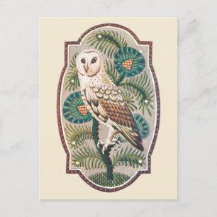 Owl Postcard
