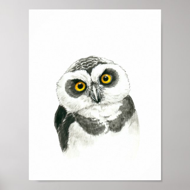 Owl Poster (Front)