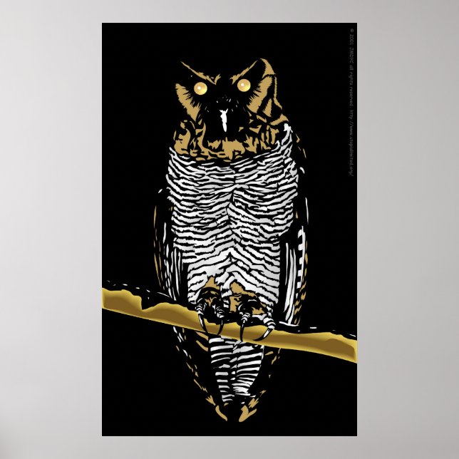 Owl Poster (Front)