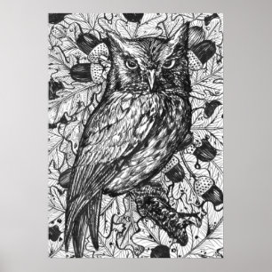 Owl Poster