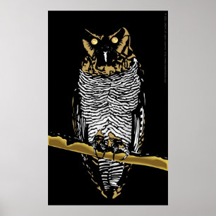 Owl Poster